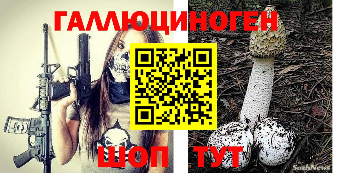 Галлюциногенные грибы Psilocybe  Вход с VPN  Галлюциногенные грибы Magic Shrooms  Гуково 