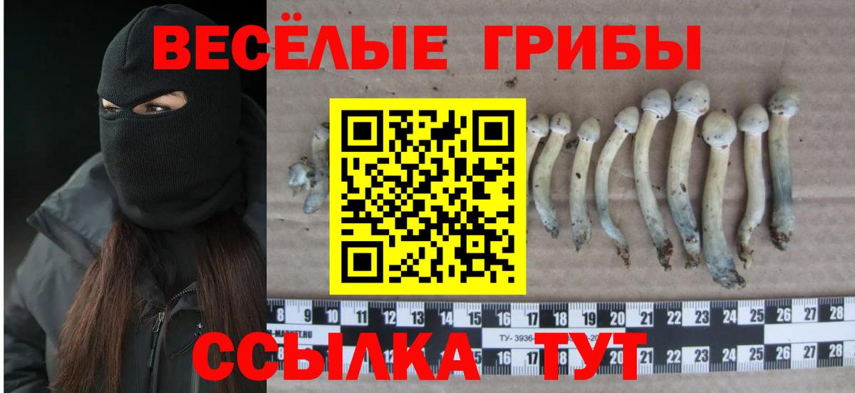 Псилоцибиновые грибы MAGIC MUSHROOMS Гуково